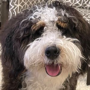 Meet your Posher, Colleen